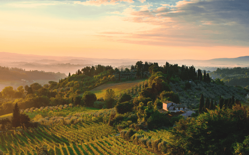 Paisaje inspirador de la Toscana, clave para entender por qué el italiano es un idioma bello y ligado al arte